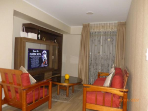 Departamento entero en san miguel